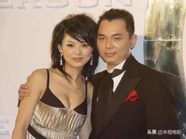 嫁入豪门的女明星（15位嫁入豪门的内地女明星）(18)