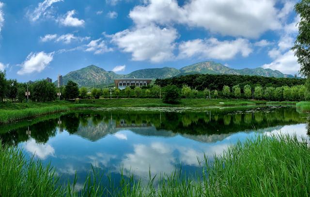辽宁大连是个怎么样的城市（我眼中的辽宁大连）(11)