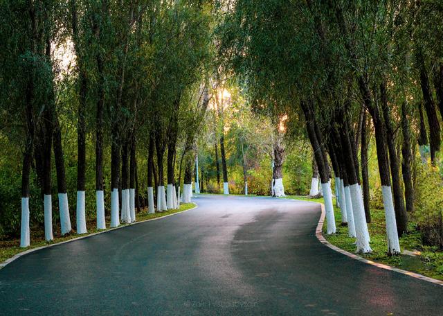 辽宁大连是个怎么样的城市（我眼中的辽宁大连）(21)