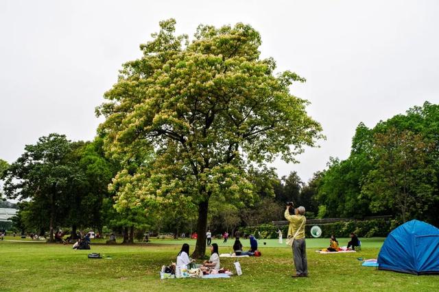 广州自驾附近露营地点推荐（不出广州的露营之旅）(4)