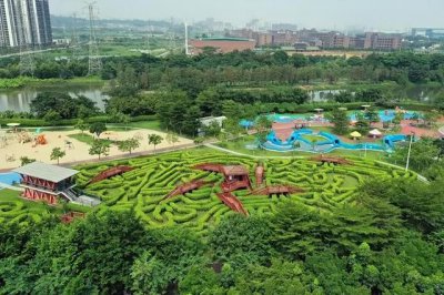 ​广州自驾附近露营地点推荐（不出广州的露营之旅）