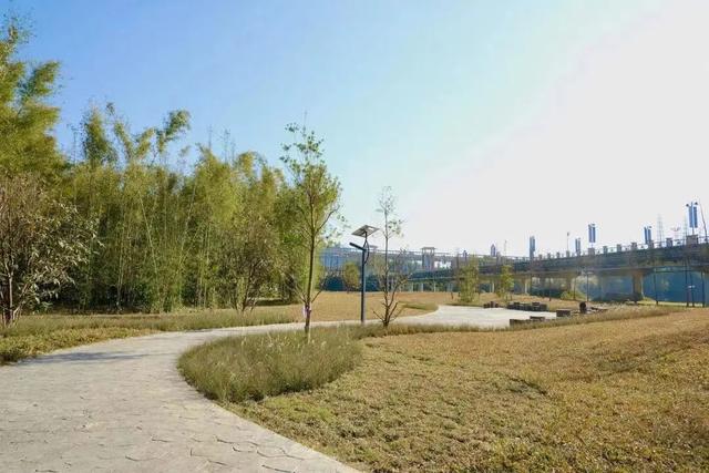 广州自驾附近露营地点推荐（不出广州的露营之旅）(6)