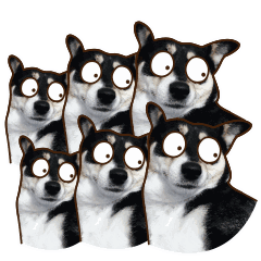 上海高校女生感染（上海某高校留学生派对）(18)