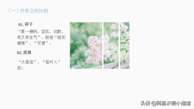 分析骆驼祥子里面的虎妞（骆驼祥子用比较）(5)