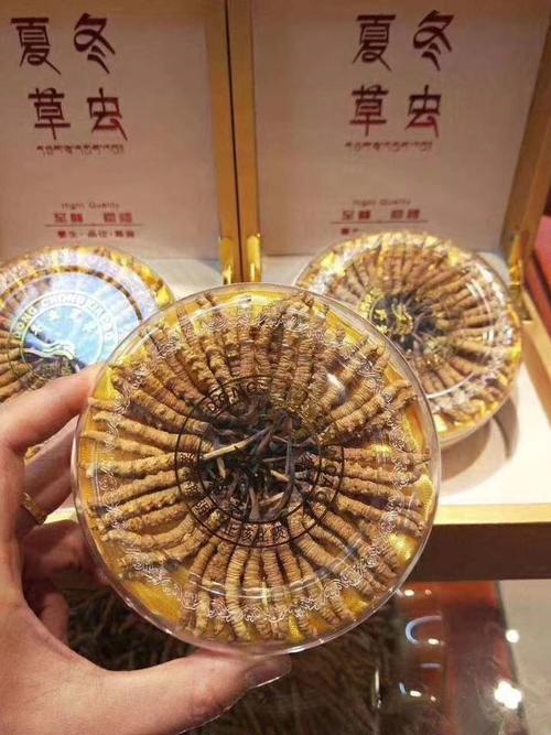 极草进补佳品冬虫夏草中的王者品牌