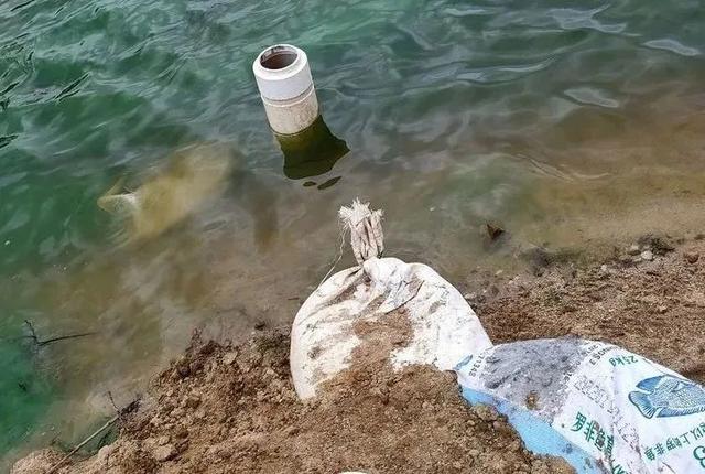 鱼塘养鱼的方法和技巧（养鱼要成功必须选好塘）(3)