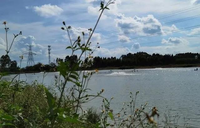 鱼塘养鱼的方法和技巧（养鱼要成功必须选好塘）(1)