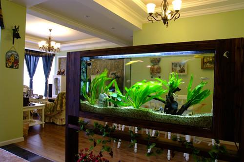 鱼缸正确摆放位置风水图解（你家的鱼缸位置摆对了吗）(3)