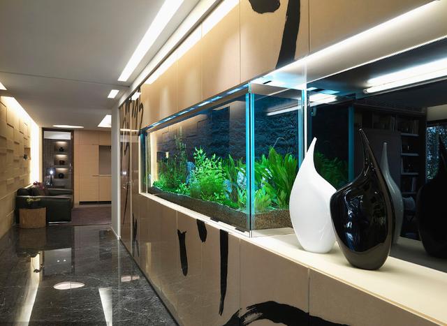 鱼缸正确摆放位置风水图解（你家的鱼缸位置摆对了吗）(4)