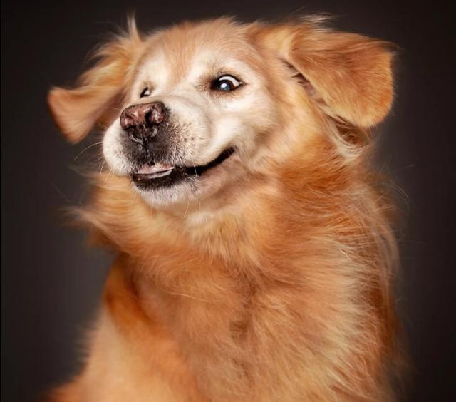 有一些人耳朵可以动来动去（每个人的耳朵其实都是可以动的）(6)