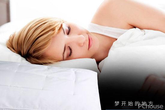 符合标准的枕头品牌（枕头品牌全球排行榜）(4)