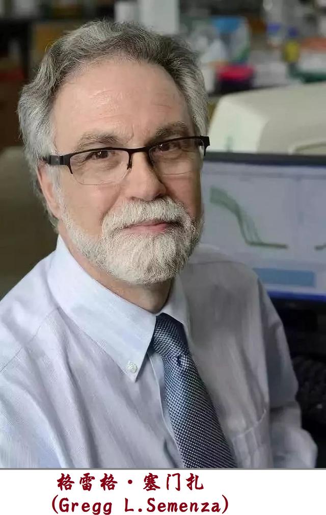 科学家故事100个电子版摘抄（科学家的故事汇编）(18)