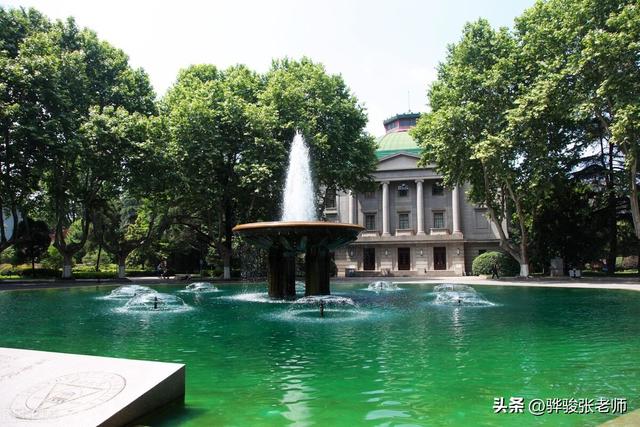 高考目前热门专业（高考10大热门专业）(1)