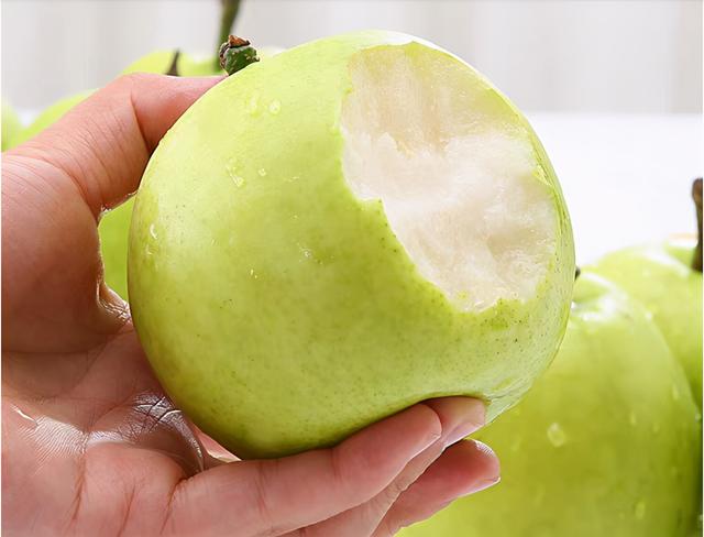 梨知识讲解（谈谈梨不为人知的秘密）(1)