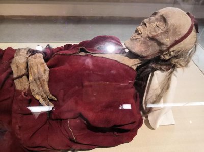 ​泰国博物馆中的干尸（被制成干尸在泰国展览60年）