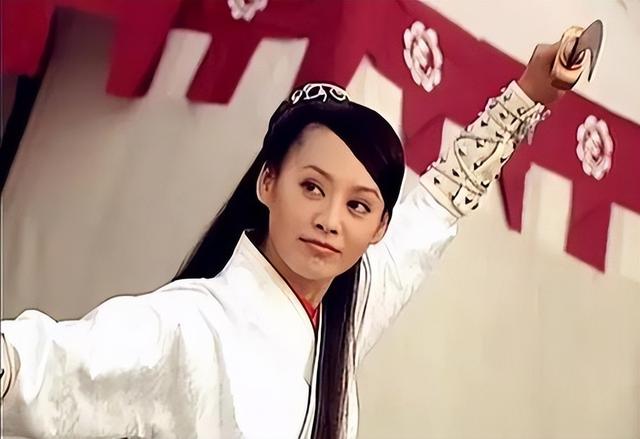 李若彤杨门女将大破天门阵（李若彤版杨门女将）(13)