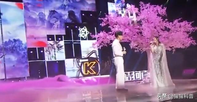 李玟回应歌跑调（盘点明星演唱会翻车名场面）(10)