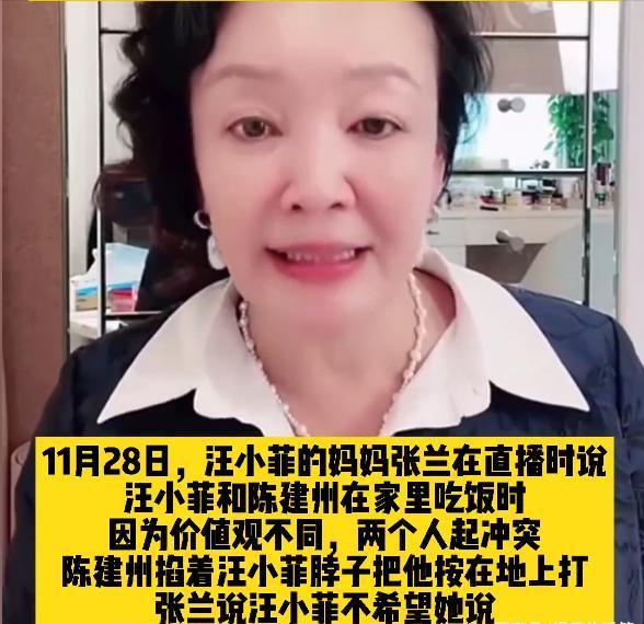 陈建州为啥打汪小菲（34湾湾打手）(3)