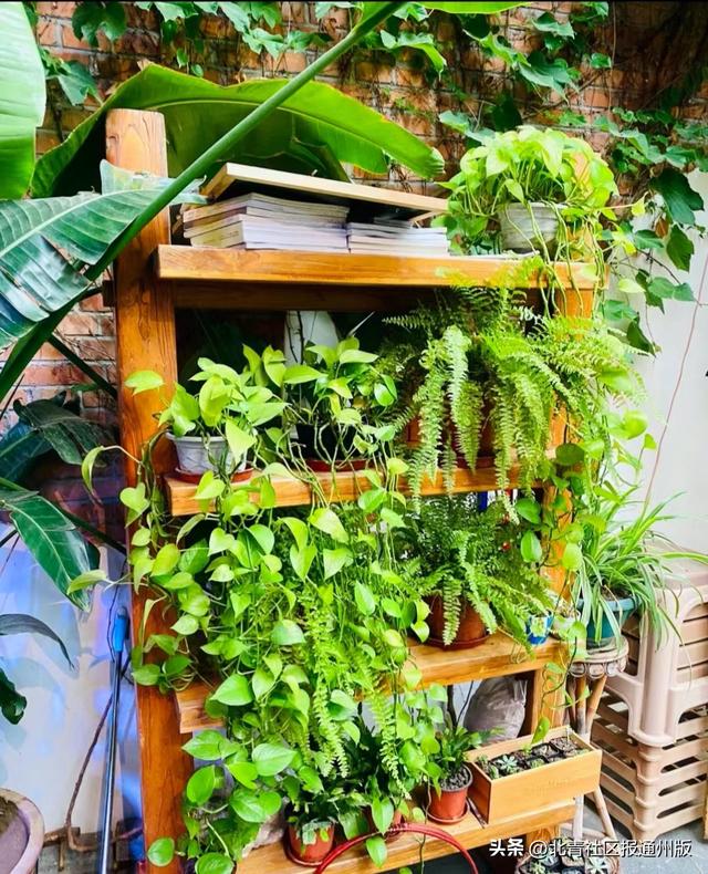 通州宋庄美食一条街在哪里(这些藏在宋庄艺术区的宝藏美食)(10)