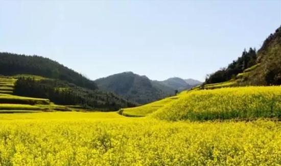 曲靖吃喝玩乐美食排行榜（这里有你要的曲靖吃喝玩乐全攻略）(4)