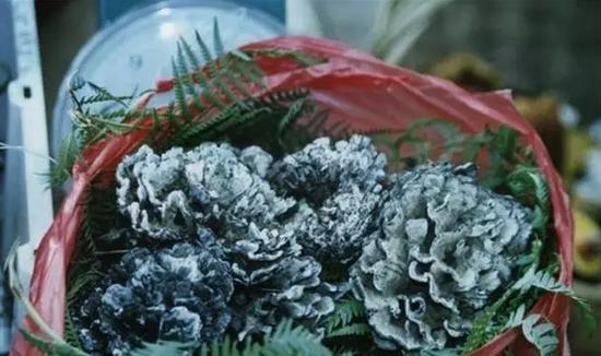 曲靖吃喝玩乐美食排行榜（这里有你要的曲靖吃喝玩乐全攻略）(16)