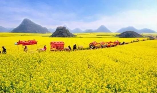 曲靖吃喝玩乐美食排行榜（这里有你要的曲靖吃喝玩乐全攻略）(5)