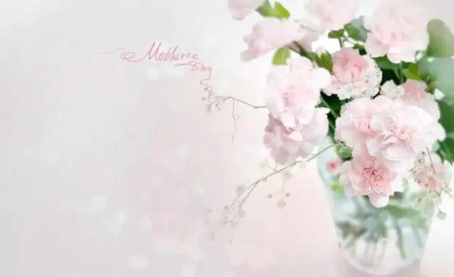 母亲节文案感人短句（母亲节文案短句治愈）(4)