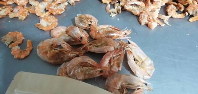 大棚养虾成本及利润（1000亩养虾大棚年赚3000万）(5)