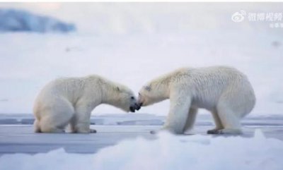 ​韩国人眼中的李宇春：李宇春国际地位有多牛
