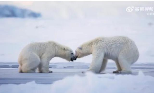 韩国人眼中的李宇春：李宇春国际地位有多牛(1)