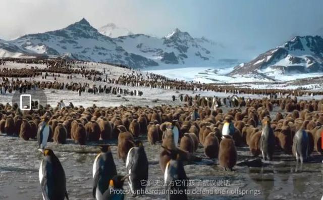 韩国人眼中的李宇春：李宇春国际地位有多牛(2)