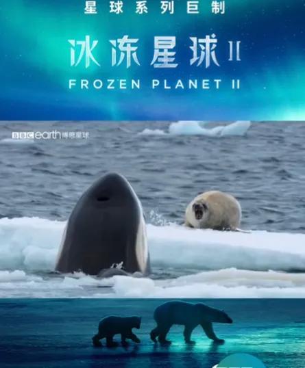 韩国人眼中的李宇春：李宇春国际地位有多牛(10)