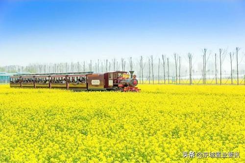 山东临沂兰陵县简介（临沂改名的兰陵县古韵悠长）(4)