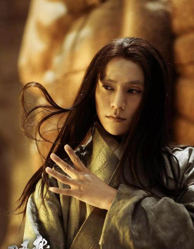 陈坤在龙门飞甲中扮的雨化田（龙门飞甲中陈坤及范晓萱的角色）(5)