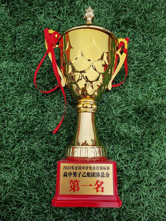 大阪世锦赛110米栏名单（比赛碰上大逆风）(3)