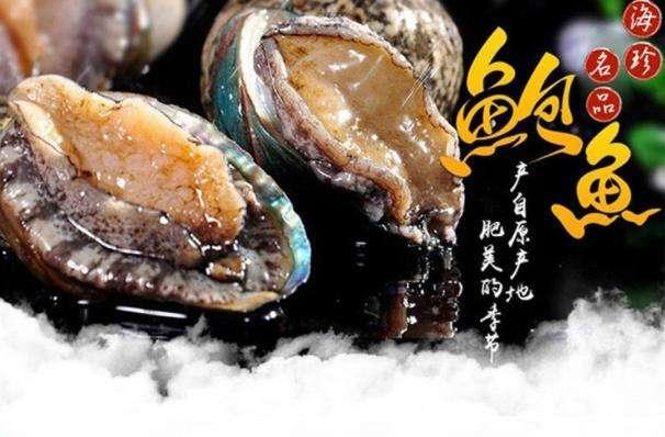 鲍鱼的清洗方法做法（唯有爱与美食不可辜负）(5)