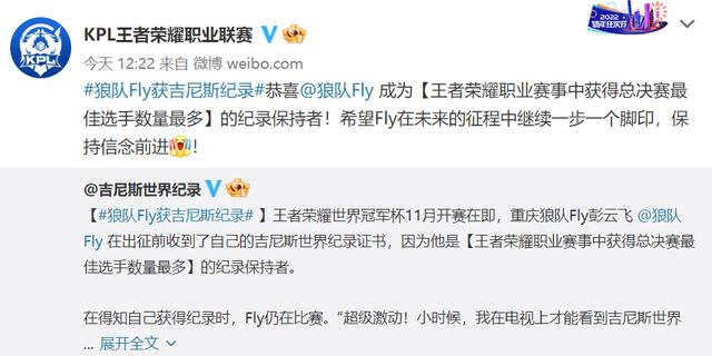 冬冠杯王者荣耀总决赛2022fmvp(狼队Fly获吉尼斯世界纪录认证)(3)