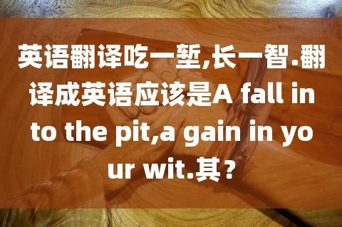 吃一堑长一智英文表达（每日一句仁者见仁）