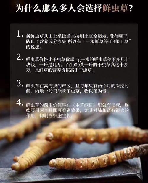 虫草一次吃几根合适（虫草一次吃几根比较好一些）