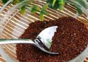 网络图片(侵删)