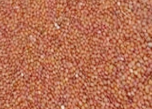 网络图片(侵删)