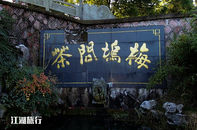 杭州梅家坞风景（到了杭州梅家坞古村）(2)