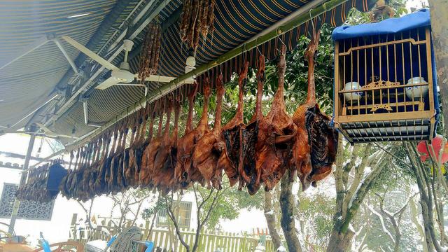 杭州梅家坞风景（到了杭州梅家坞古村）(10)