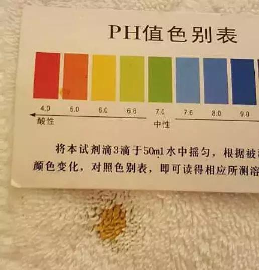 北京西苑饭店官方网站（北京西苑饭店测评报告）(20)