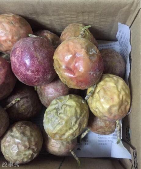 网络图片(侵删)