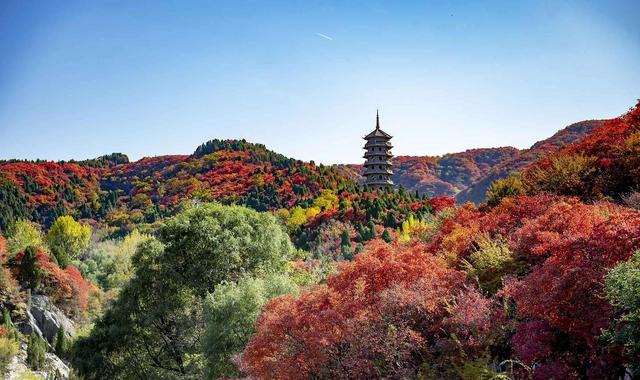 济南旅游必去十大景点排名 济南旅游10个打卡胜地推荐(6)