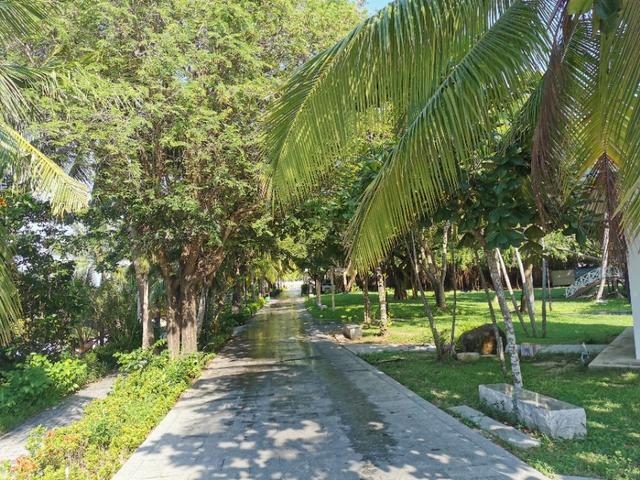 海南岛的天涯海角旅游胜地（实拍海南天涯海角景区）(4)