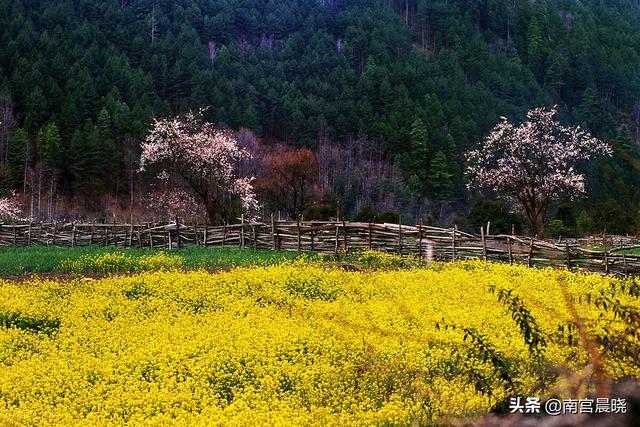 从哪坐火车去拉萨风景最好（400元直达拉萨的火车）(12)