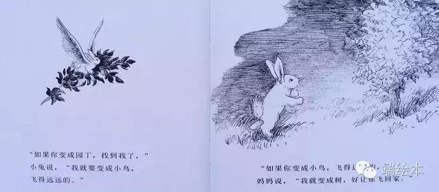 绘本故事逃家小兔完整版（中文儿童绘本故事精选）(8)