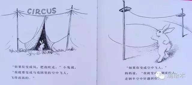 绘本故事逃家小兔完整版（中文儿童绘本故事精选）(12)